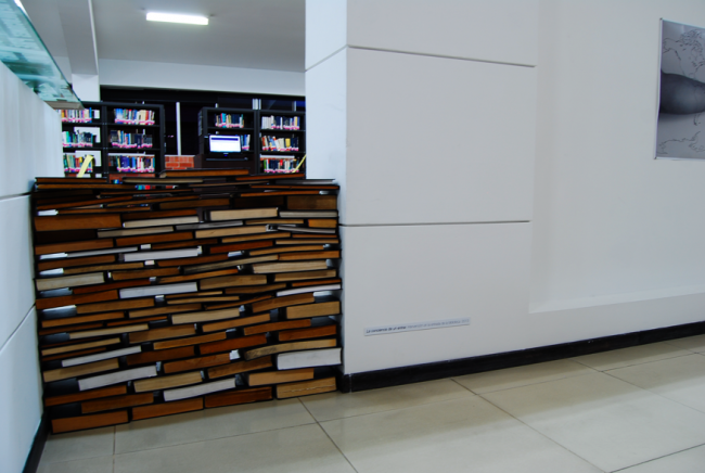 La conciencia de un entrar, intervenci&oacute;n con libros.